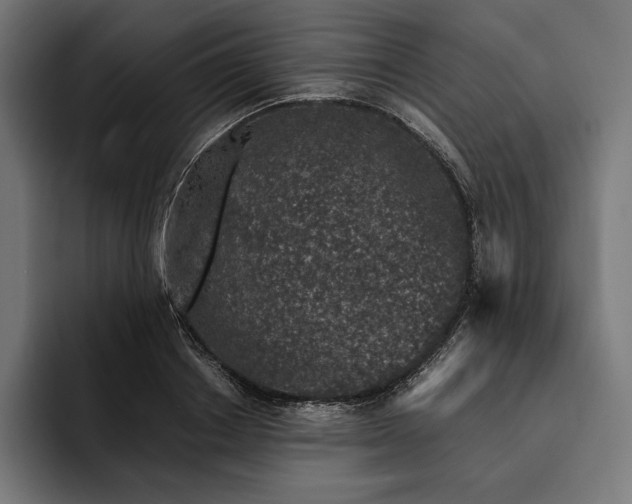 X0000093120842200710101039