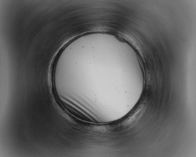 X0000093120843200710101039