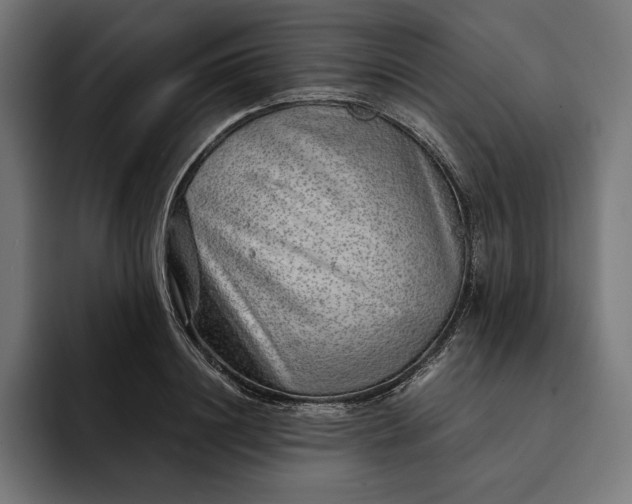 X0000093120844200710101039