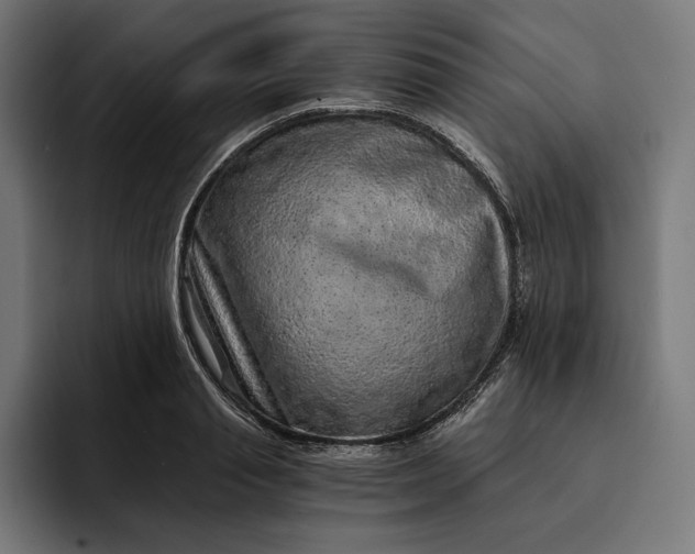 X0000093120845200710101039