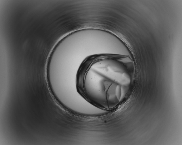 X0000093120846200710101039