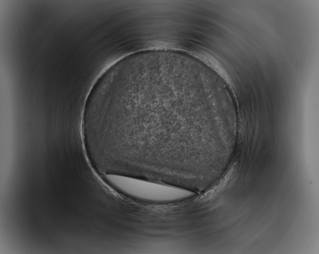 X0000093120847200710101039