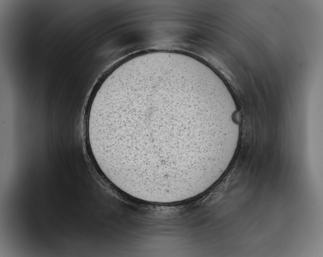 X0000093120848200710101039