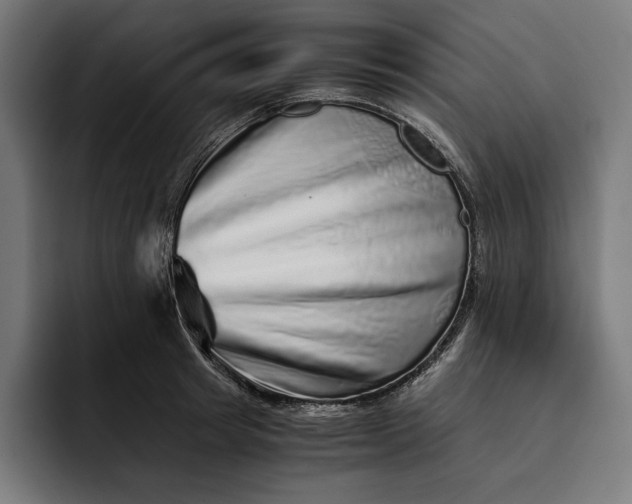 X0000093120849200710101039