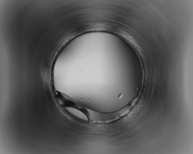 X0000093120850200710101039