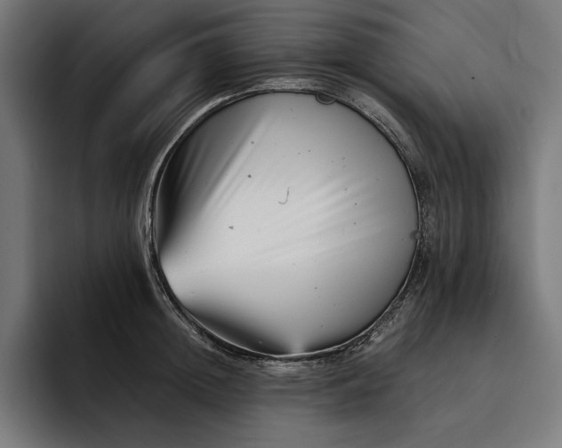 X0000093120852200710101039