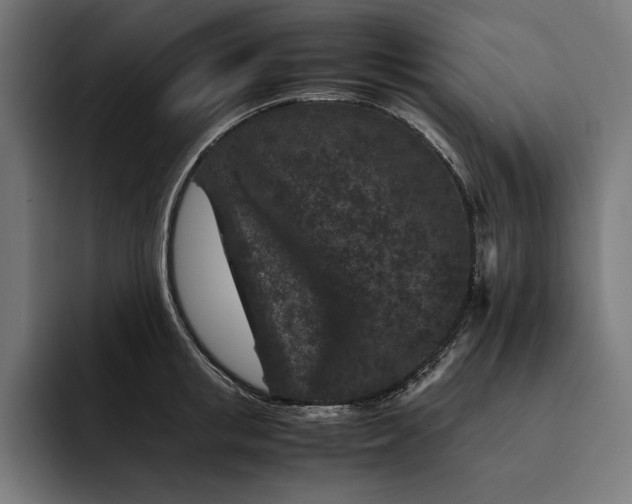 X0000093120853200710101039