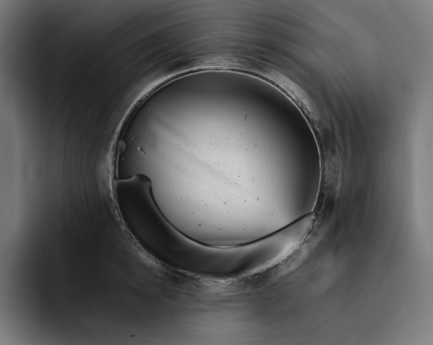 X0000093120854200710101039