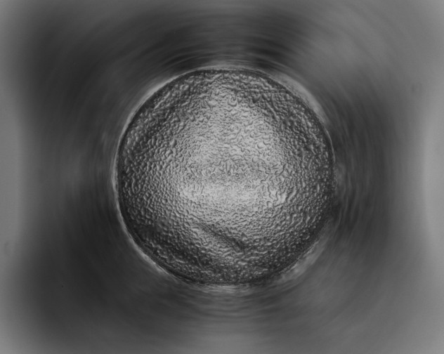 X0000093120855200710101039