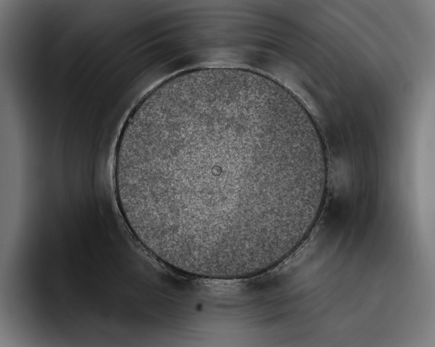 X0000093120856200710101039