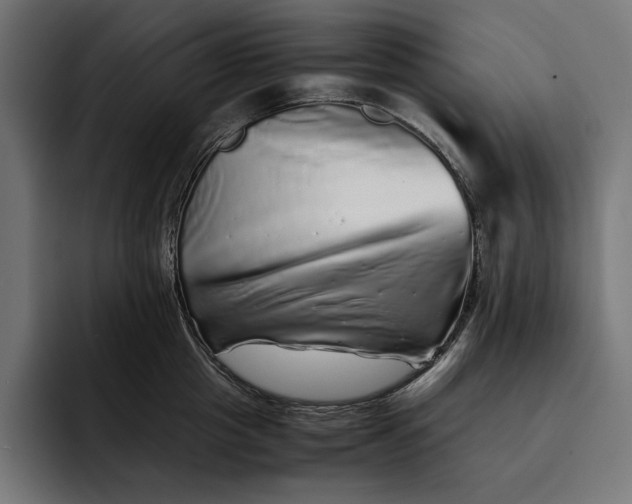 X0000093120857200710101039