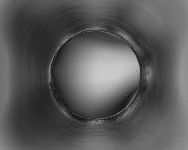 X0000093120858200710101039