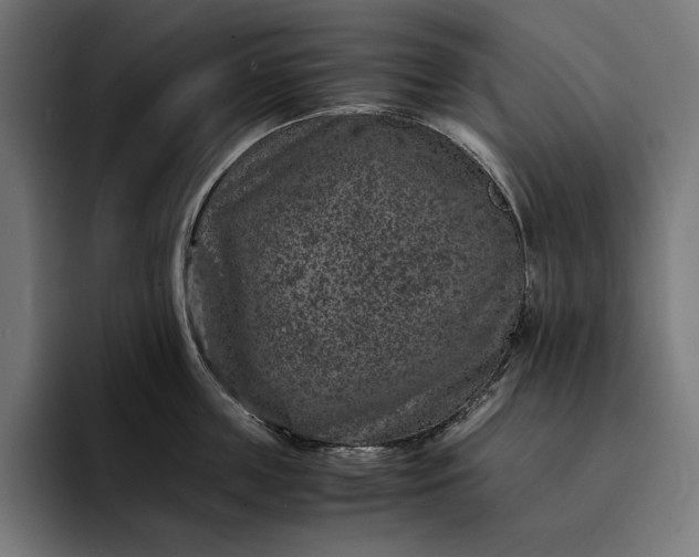 X0000093120859200710101039