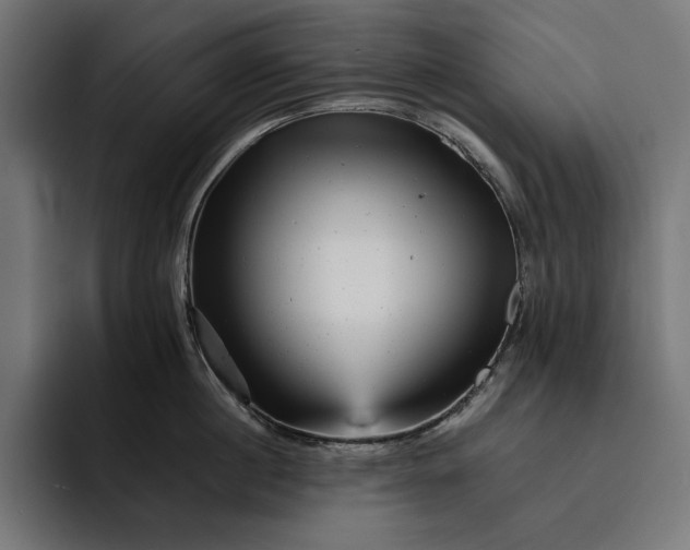 X0000093120860200710101039