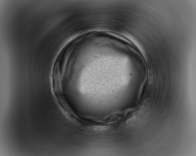 X0000093120861200710101039