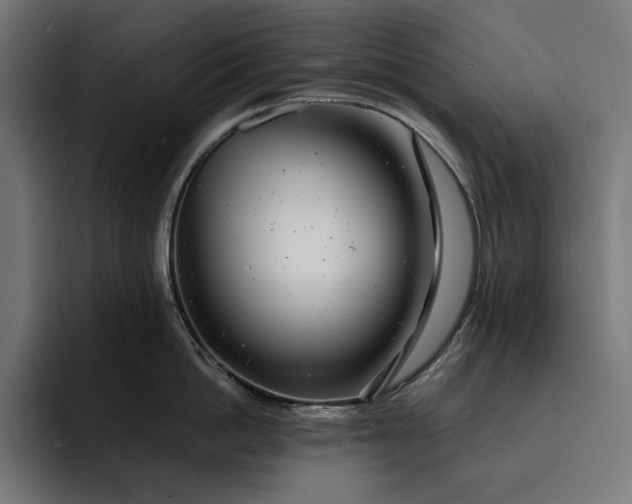 X0000093120862200710101039