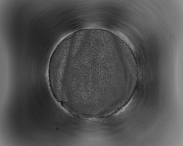 X0000093120863200710101039