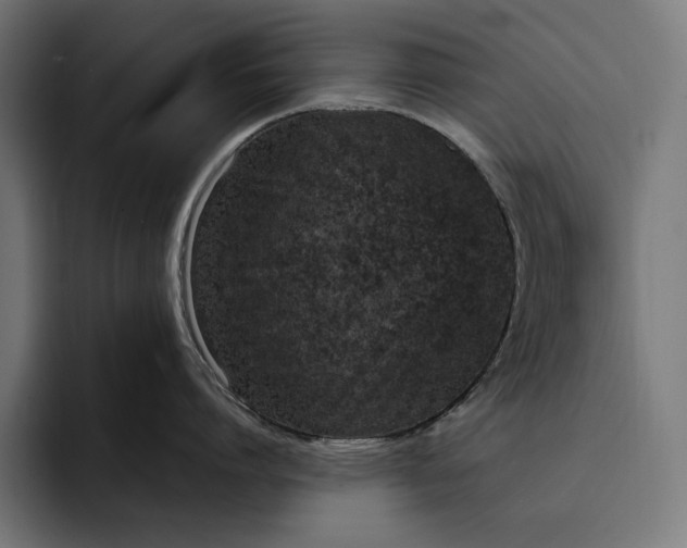 X0000093120864200710101039