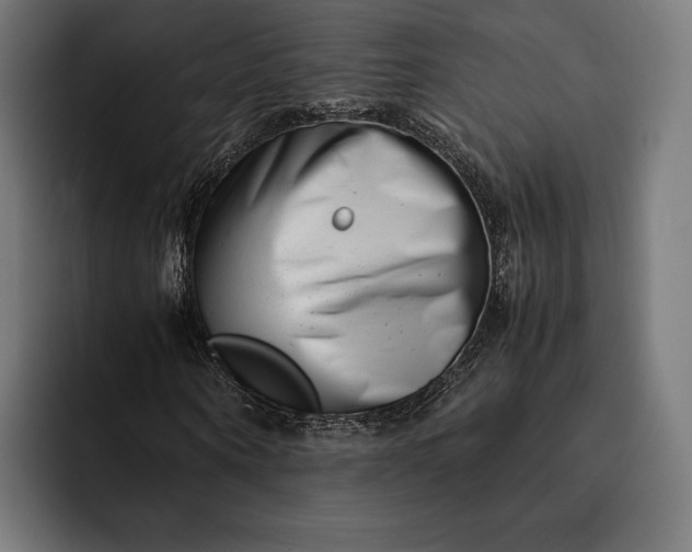 X0000093120866200710101038