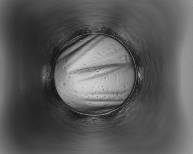 X0000093120867200710101038