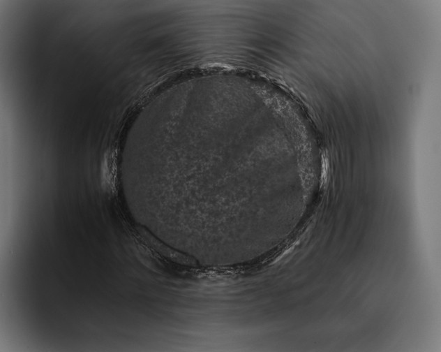 X0000093120868200710101038