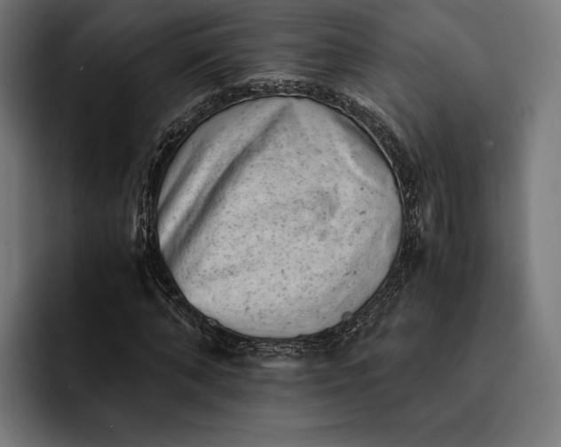 X0000093120870200710101038