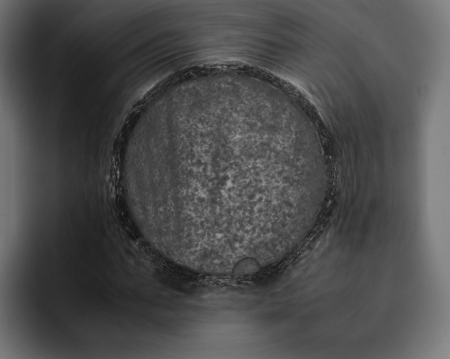 X0000093120871200710101038