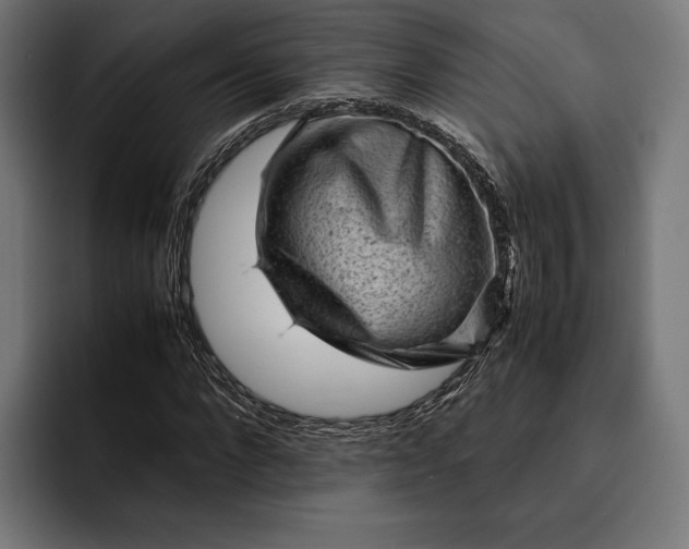 X0000093120872200710101038