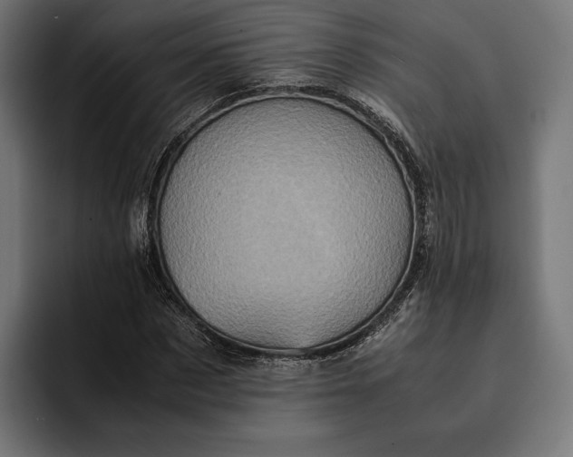 X0000093120873200710101038