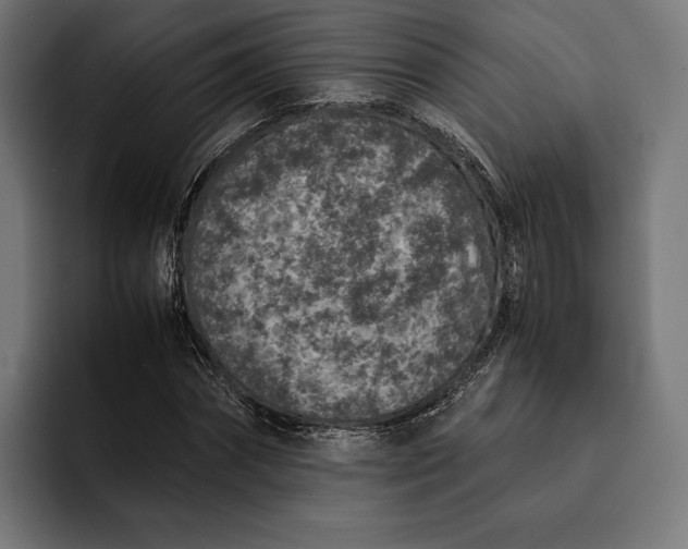 X0000093120874200710101038