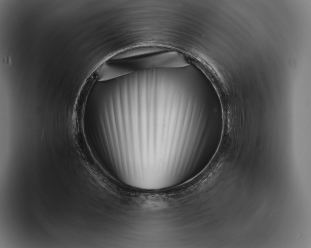 X0000093120876200710101038