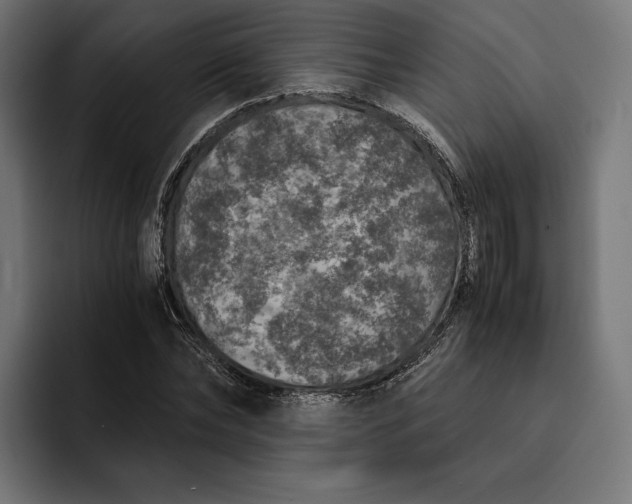 X0000093120878200710101038