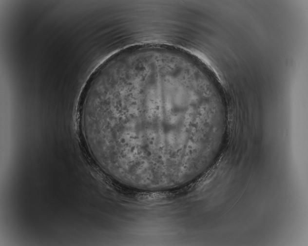 X0000093120879200710101038