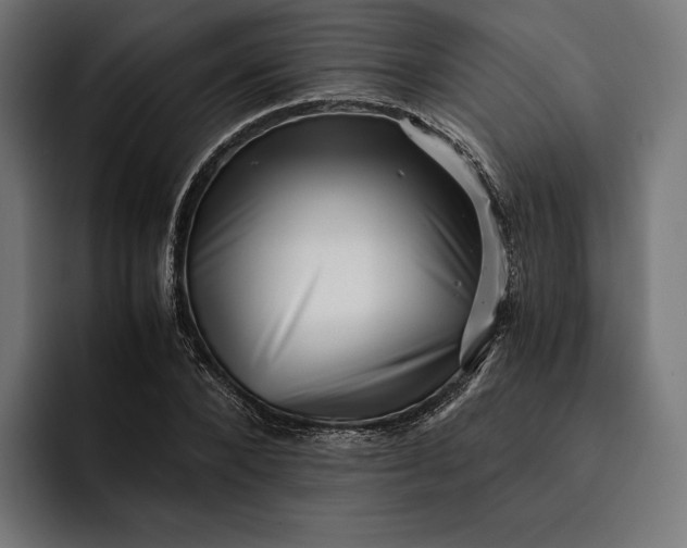 X0000093120880200710101038