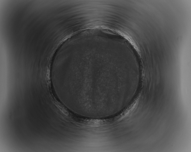 X0000093120881200710101038