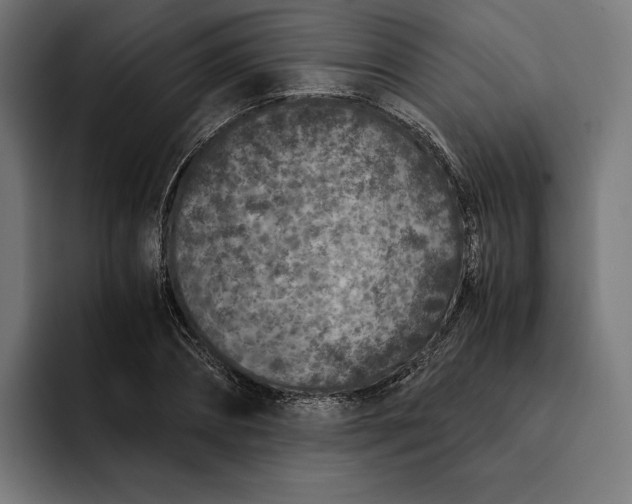 X0000093120882200710101038