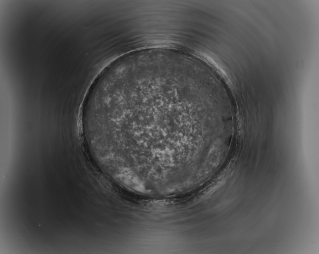 X0000093120883200710101038