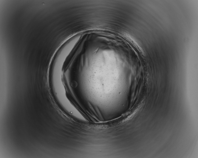 X0000093120884200710101038