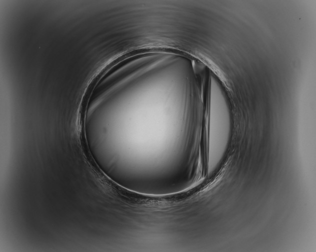 X0000093120885200710101038