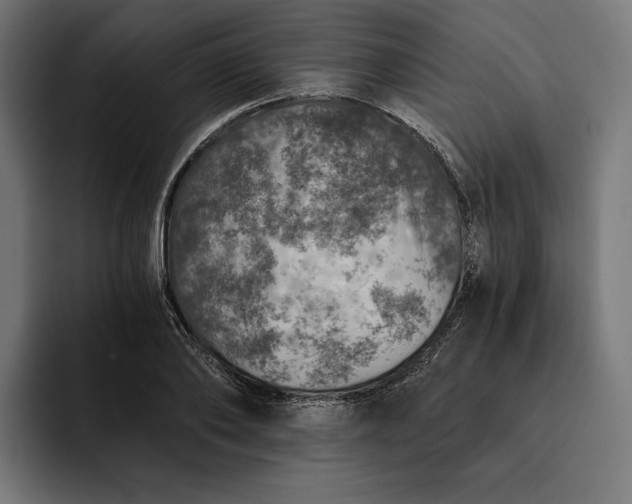 X0000093120886200710101038