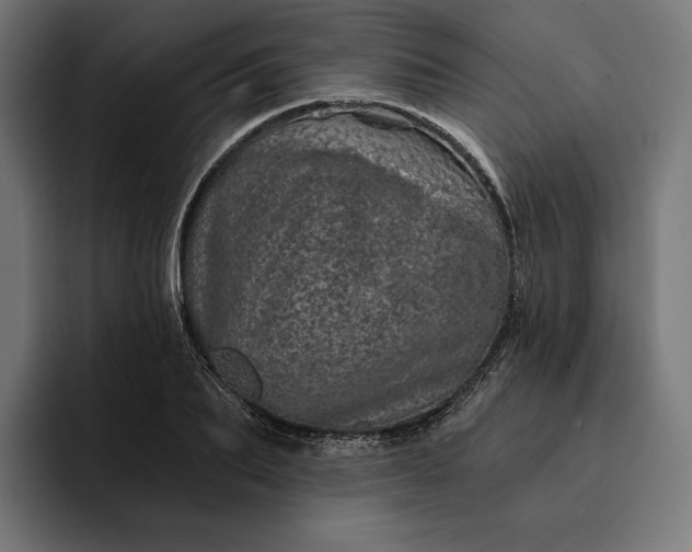 X0000093120887200710101038