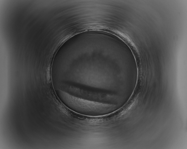 X0000093120889200710101038