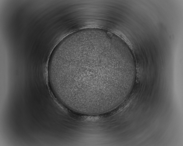 X0000093120890200710101038