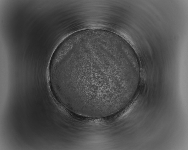 X0000093120891200710101038