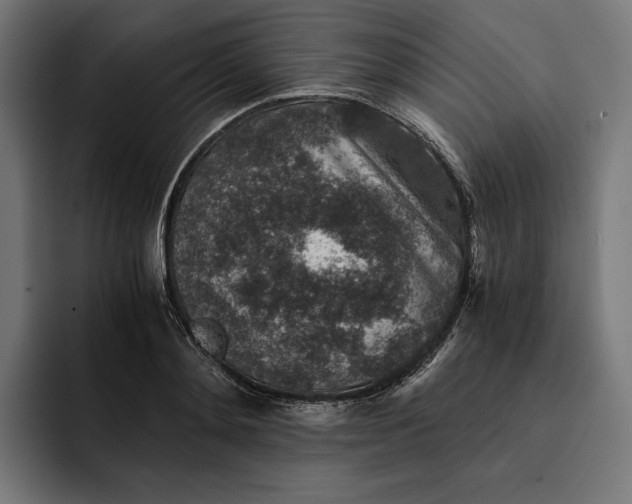 X0000093120892200710101038