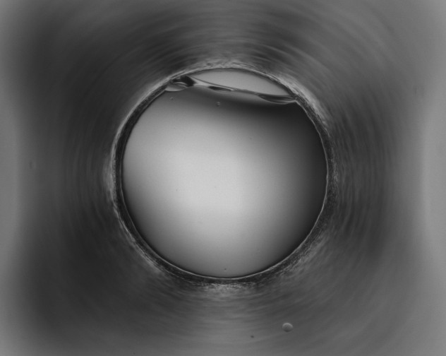 X0000093120894200710101038