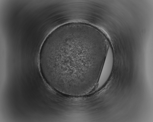 X0000093120895200710101038