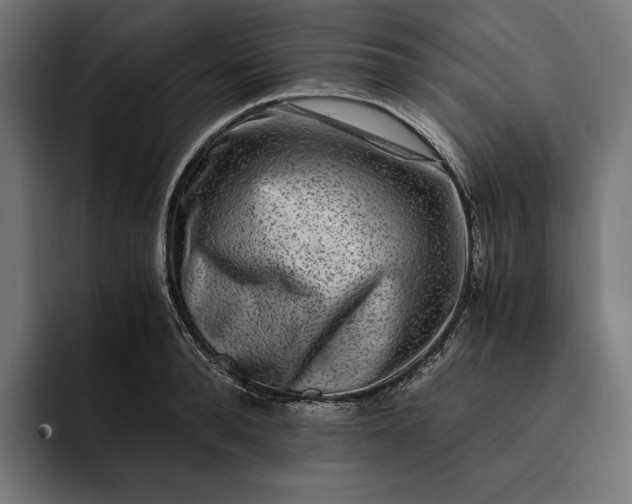 X0000093120896200710101038