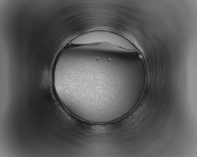 X0000093120898200710101038