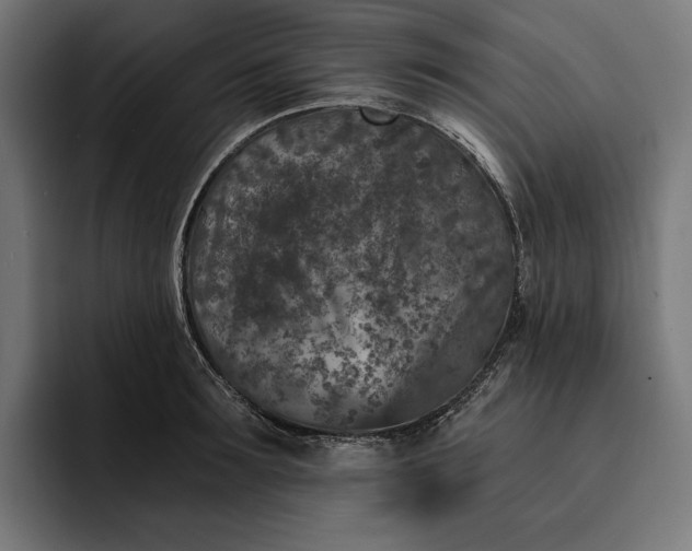 X0000093120899200710101038